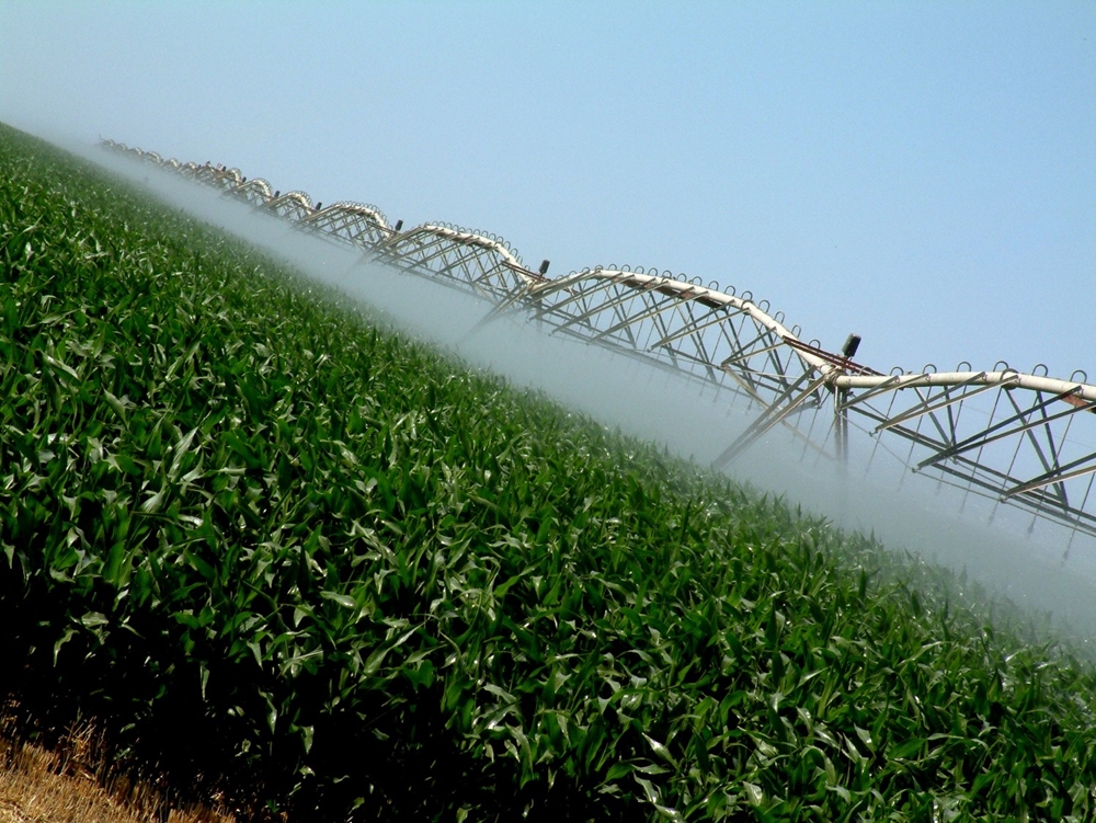 New irrigation funding for MurrayDarling Basin, Queensland Elders Real Estate