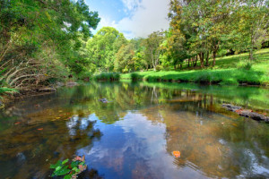 Hinterland_feature