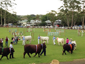 Bangalow Show