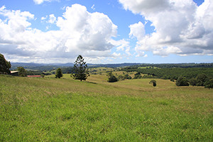 Clunes, Northern NSW
