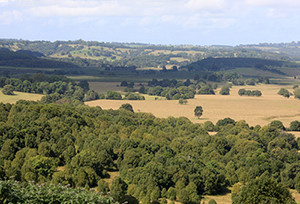 Dorroughby, Byron Hinterland