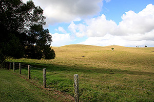 Fernleigh, Northern NSW